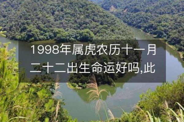农历94年腊月29：命运与生活的深度探索