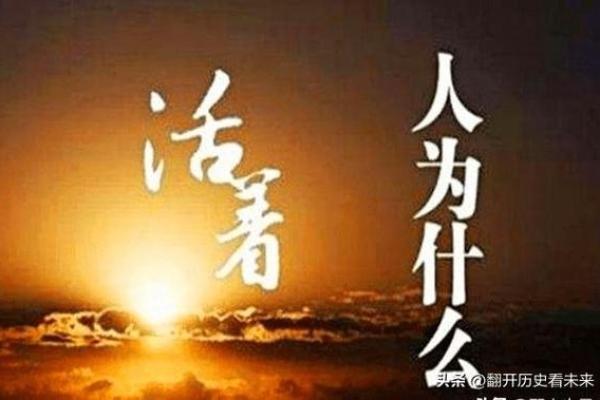 离命则不能，探寻生命的意义与价值