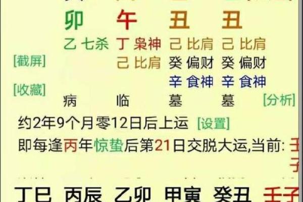 女命比肩无财的命理解读与人生启示