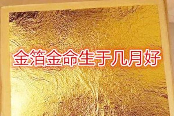 根据命理学解析，哪些行业最适合多金命的人赚钱？