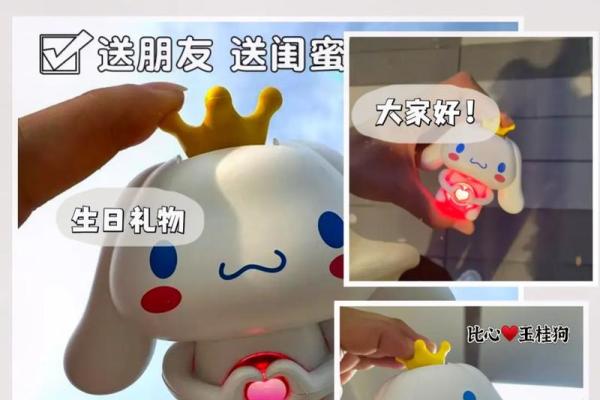 送给91年本命年的老公：暖心礼物推荐指南