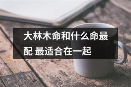 木命与其他命相合之道:寻觅最佳合伙人的智慧