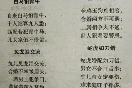 命理解析:男命婚姻中的八字忌讳与避雷秘籍