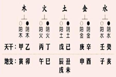 九月出生者的五行命理解析：寻找属于你的命运之光