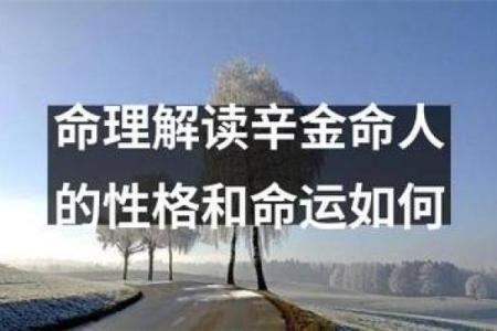 男人命理中的八宫解析:揭开命运的神秘面纱