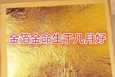 根据命理学解析，哪些行业最适合多金命的人赚钱？