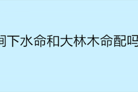 木命之人适合的名字:带“林”、“树”、“芳”的意义与影响