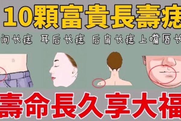 探秘女人福禄双全的命理：如何理解与实现人生的幸福与成功