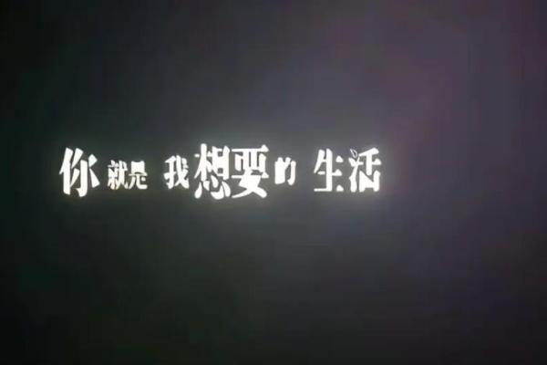 《快请先生把命推：探索生活的奇妙与命运的交织》