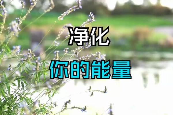 莲花命格：揭示命运与人生的灵性之源