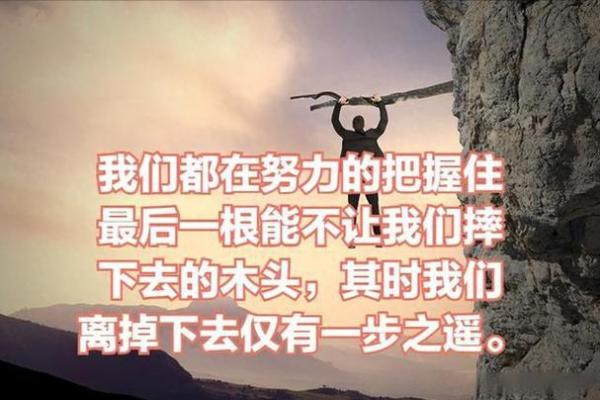 命运与劳碌：揭示人生的多种面貌与选择