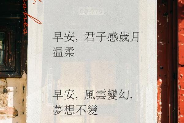 生命的意义：当命无价，何以生存与追寻？