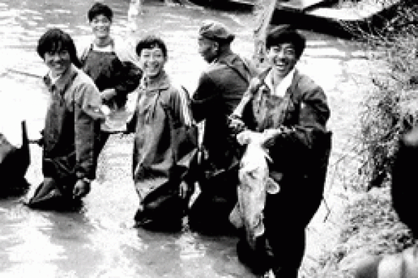 探索1972年：一段历史的印记与生活的变迁