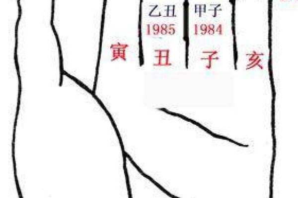 探秘农历19日甲子命格：物质与精神的和谐交融