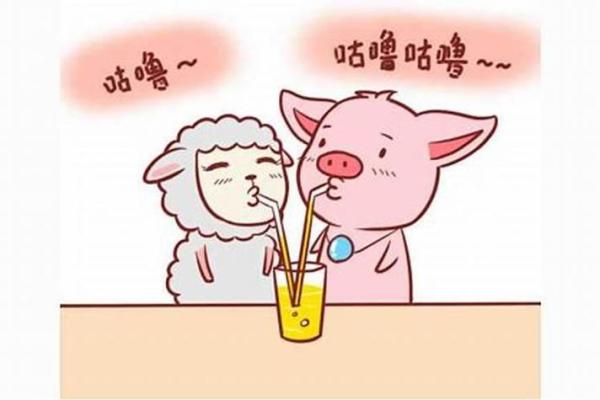 零七年属猪的命运解析：如何拥抱生活中的幸运与挑战