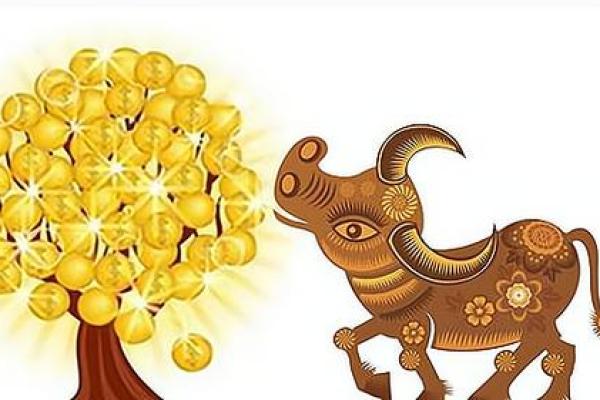 九七年五月属牛的命运与性格解析，揭示人生的真谛与机遇！
