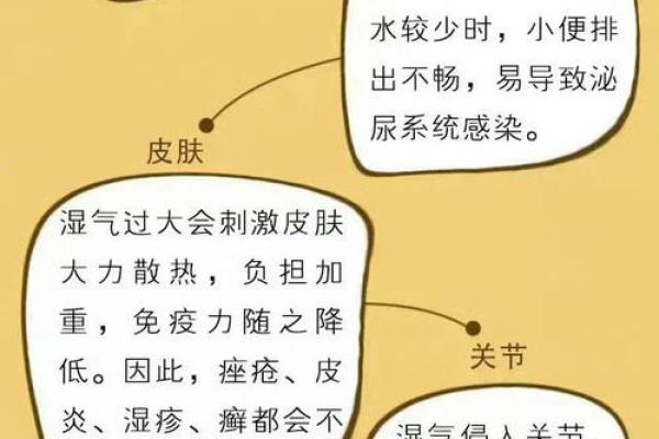 命里火旺的人应该具有什么样的特征与表现？