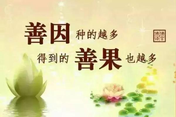 探秘捐款背后的星座命运：善心与命运的交错之路