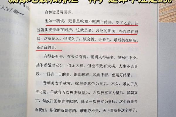 探索命必师传：揭示命运与人生的深刻智慧