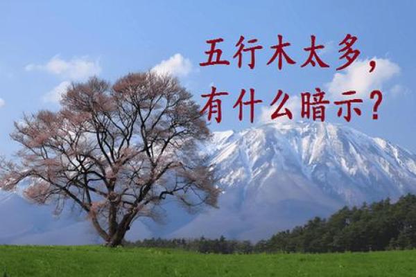 探索木命交运的色彩禁忌与运势提升之道