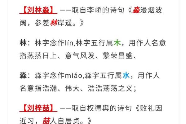 2024年龙年：木命之人的幸福之字与生活哲学探索