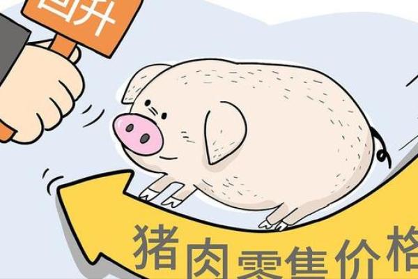 财富与机遇并存：九五年猪的命运解析与人生启示