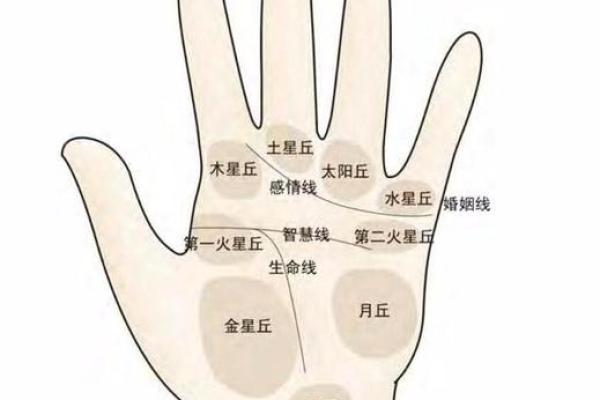 女命智慧的手纹解析：掌握命运的重要线索