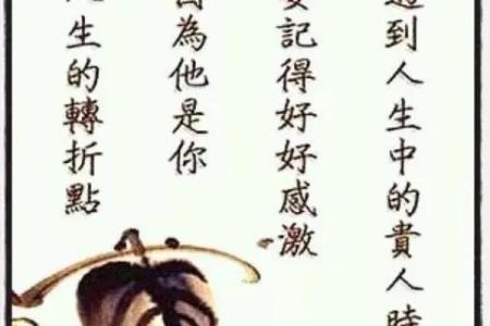 女命合官的深刻解析与人生指导