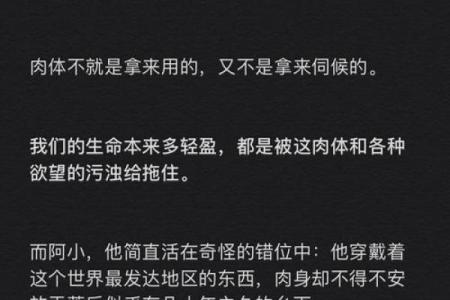 《快请先生把命推：探索生活的奇妙与命运的交织》
