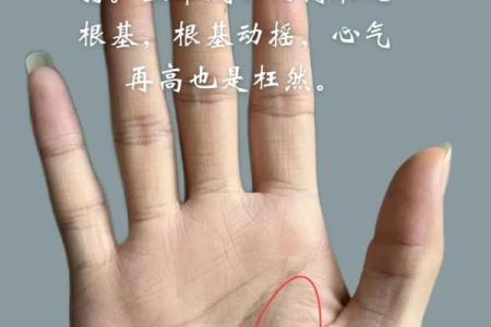 孔庙门前的命格解析:洞察人生的秘密与智慧