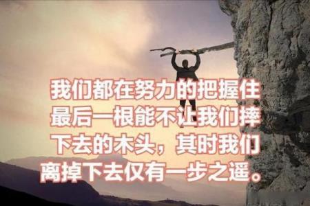 命运与劳碌：揭示人生的多种面貌与选择