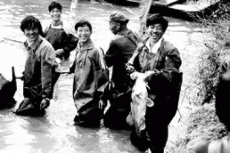 探索1972年:一段历史的印记与生活的变迁