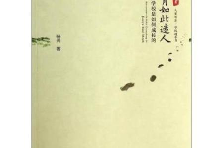 透过书海细读命理学的奥秘，开启生命的智慧之门