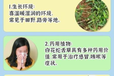 命理中的锁子与解锁之道:探秘人生中的各种锁与解锁方法