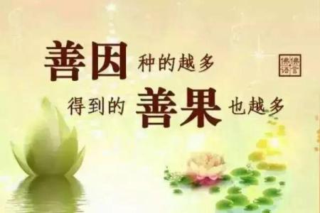 探秘捐款背后的星座命运：善心与命运的交错之路