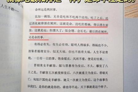 探索命必师传：揭示命运与人生的深刻智慧
