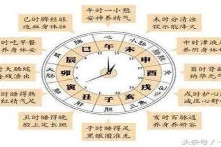 卯辰五行命理解析：揭示生命本质与命运的奥秘