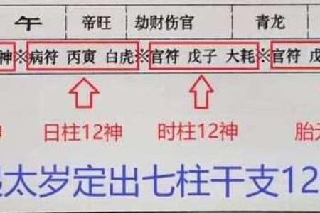 探索木命交运的色彩禁忌与运势提升之道