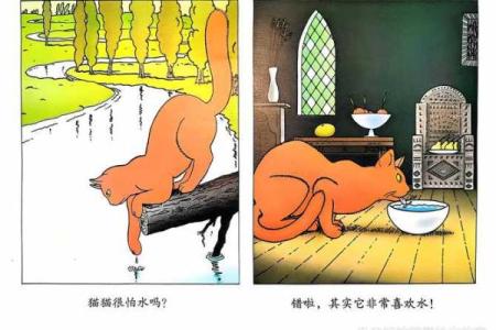 猫姐揭秘：为什么传说中猫有九条命？