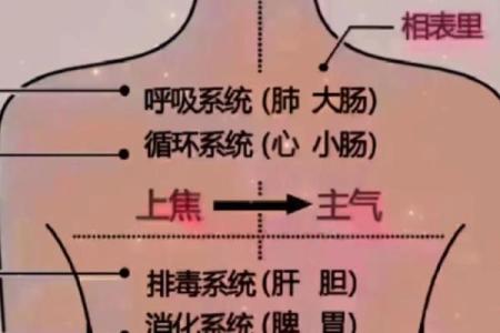 平地木命与火命的绝妙搭配:如何有效发挥木与火的相生关系
