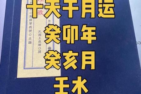 探秘农历二月十二生人的八字命理与人生机遇