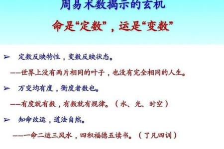 如何免费查生辰八字,揭示命运玄机与人生方向