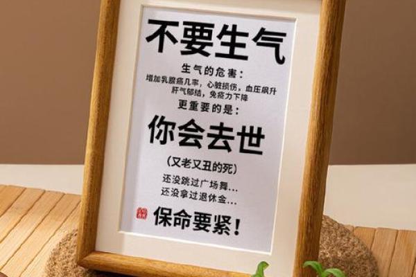 命里有生气：揭示人生中情绪的深刻意义与影响