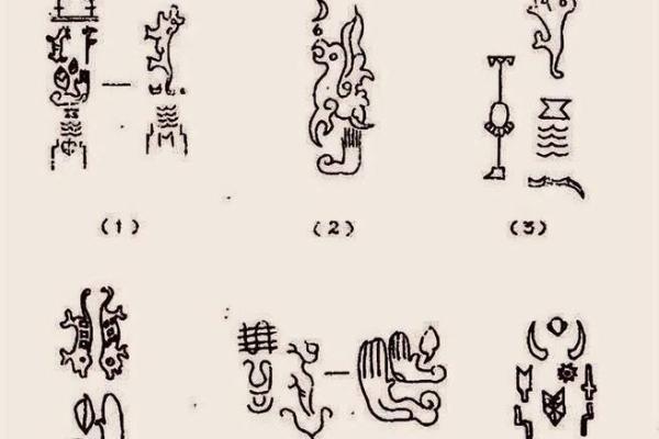 男上身粗下身细的命运解析：从外表看内心，揭开生活的秘密