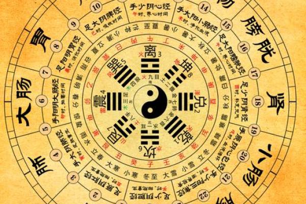 探秘命理之学：揭开白虎的神秘面纱与深刻寓意
