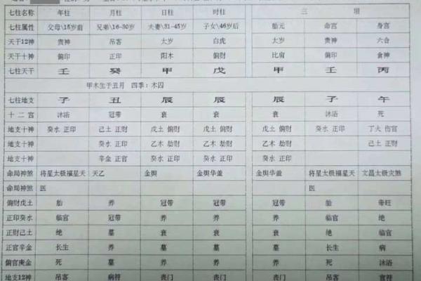 探秘命理之学：揭开白虎的神秘面纱与深刻寓意