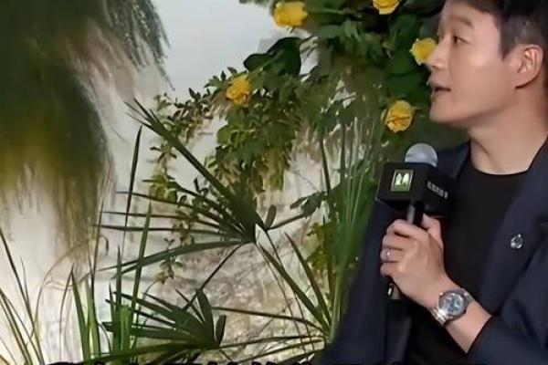 男水女土的孩子命运解析：如何培养更优质的未来！