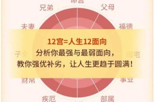 为什么脸瘦身上胖：从命理来看你的体型秘密