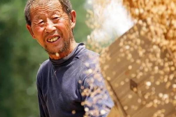 劳作命：探讨生活中的努力与命运的交织