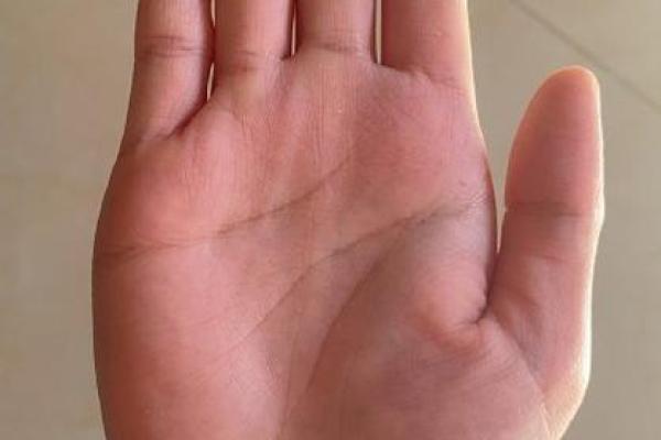 牛年子时鼠出洞，探索命运的奥秘与启示